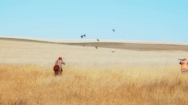 3,483 Acres of Land for Sale in Reeder, North Dakota