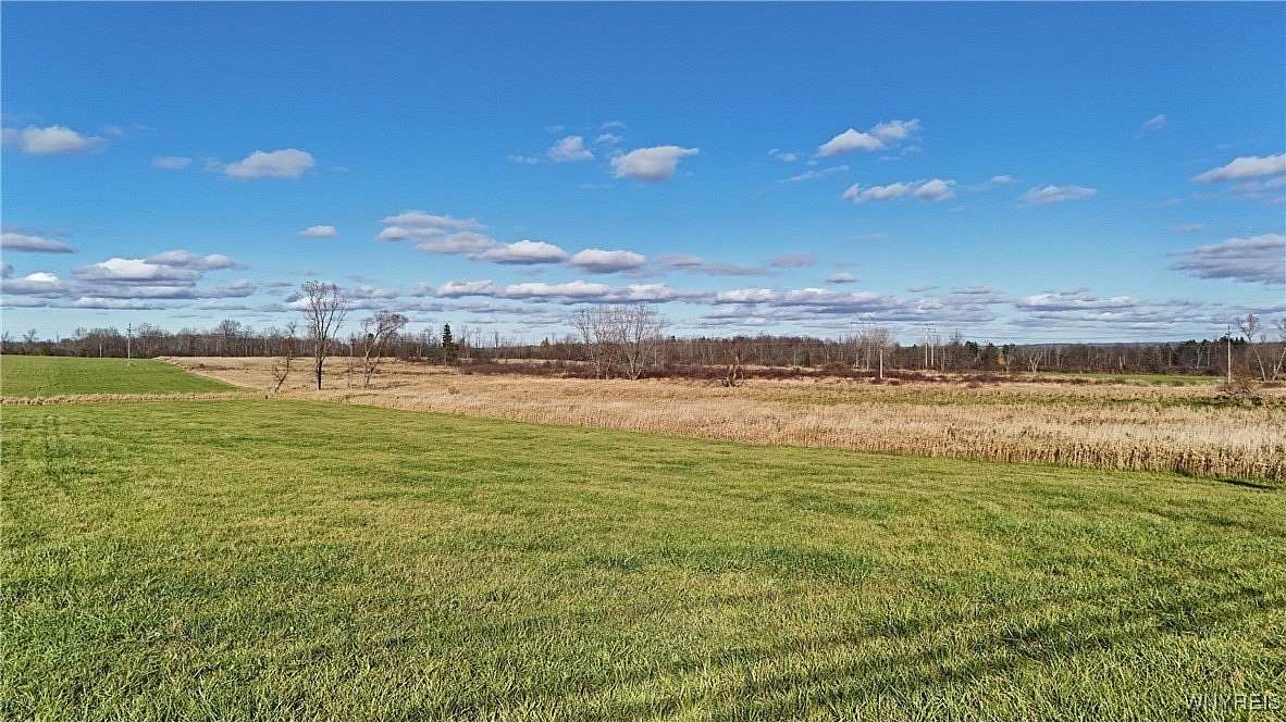 25 Acres of Agricultural Land for Sale in Wales Town, New York