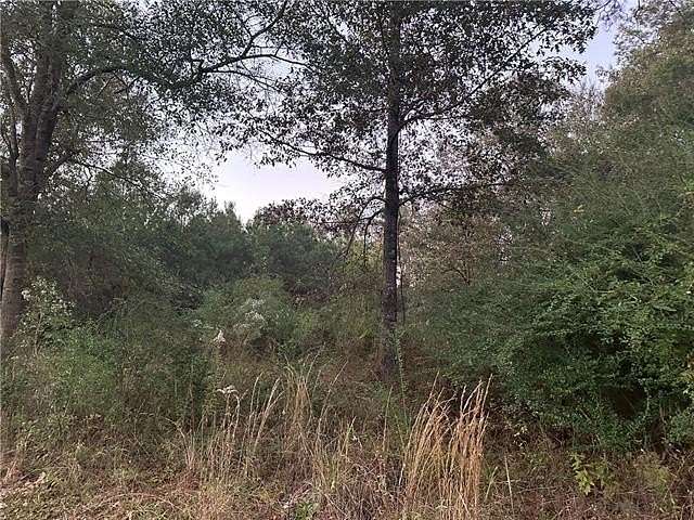 1 Acre of Residential Land for Sale in Deville, Louisiana