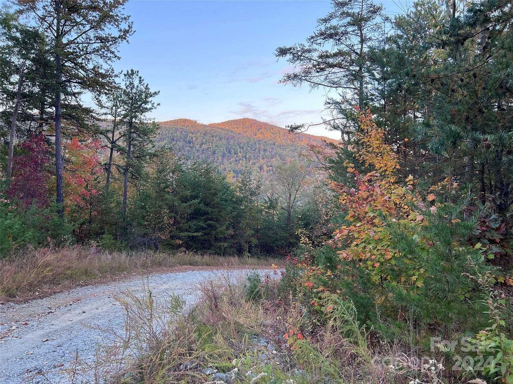 2.38 Acres of Residential Land for Sale in Lake Lure, North Carolina