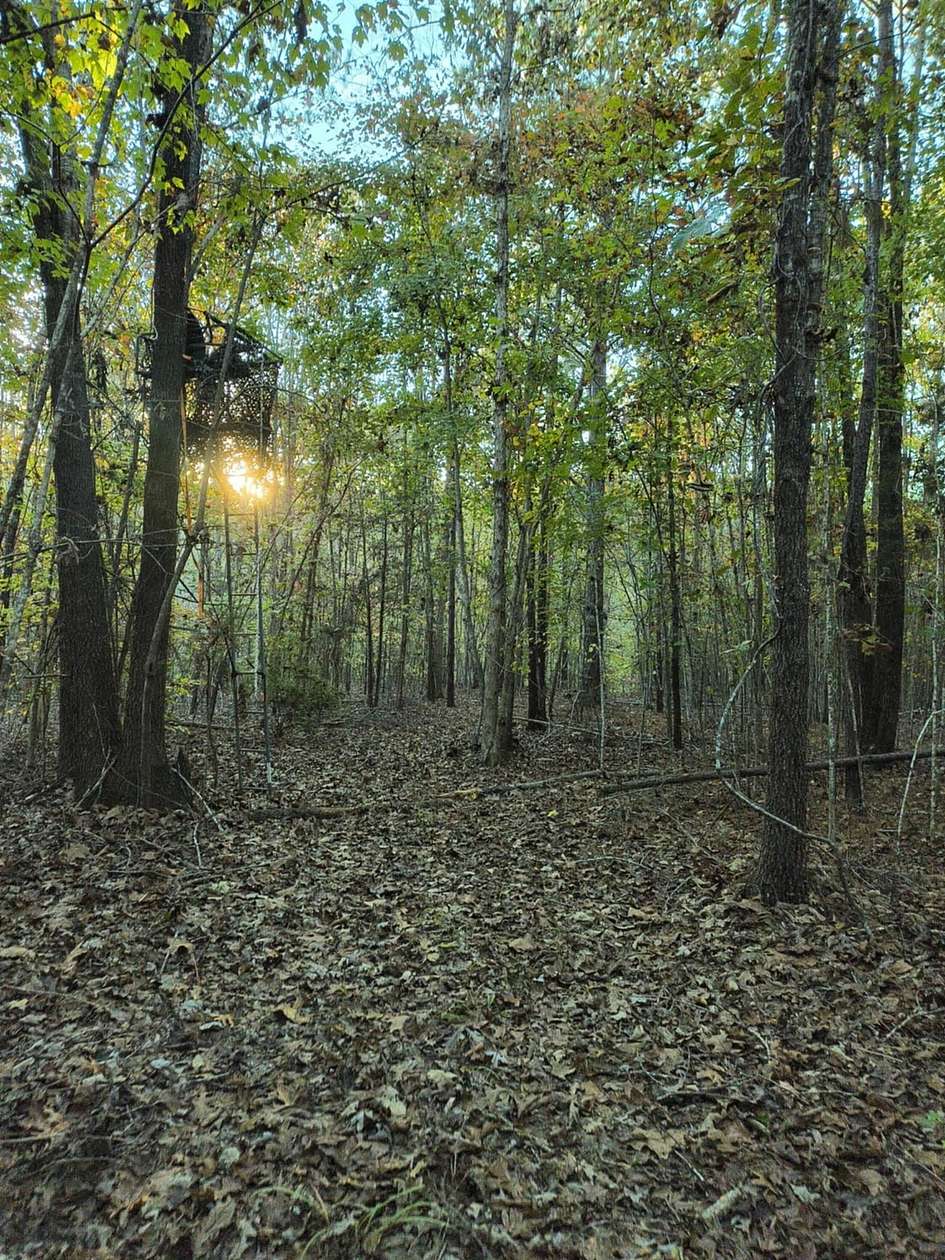 40 Acres of Recreational Land for Sale in Union, South Carolina