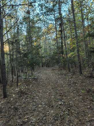 40 Acres of Recreational Land for Sale in Union, South Carolina