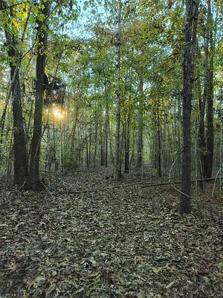 40 Acres of Recreational Land for Sale in Union, South Carolina