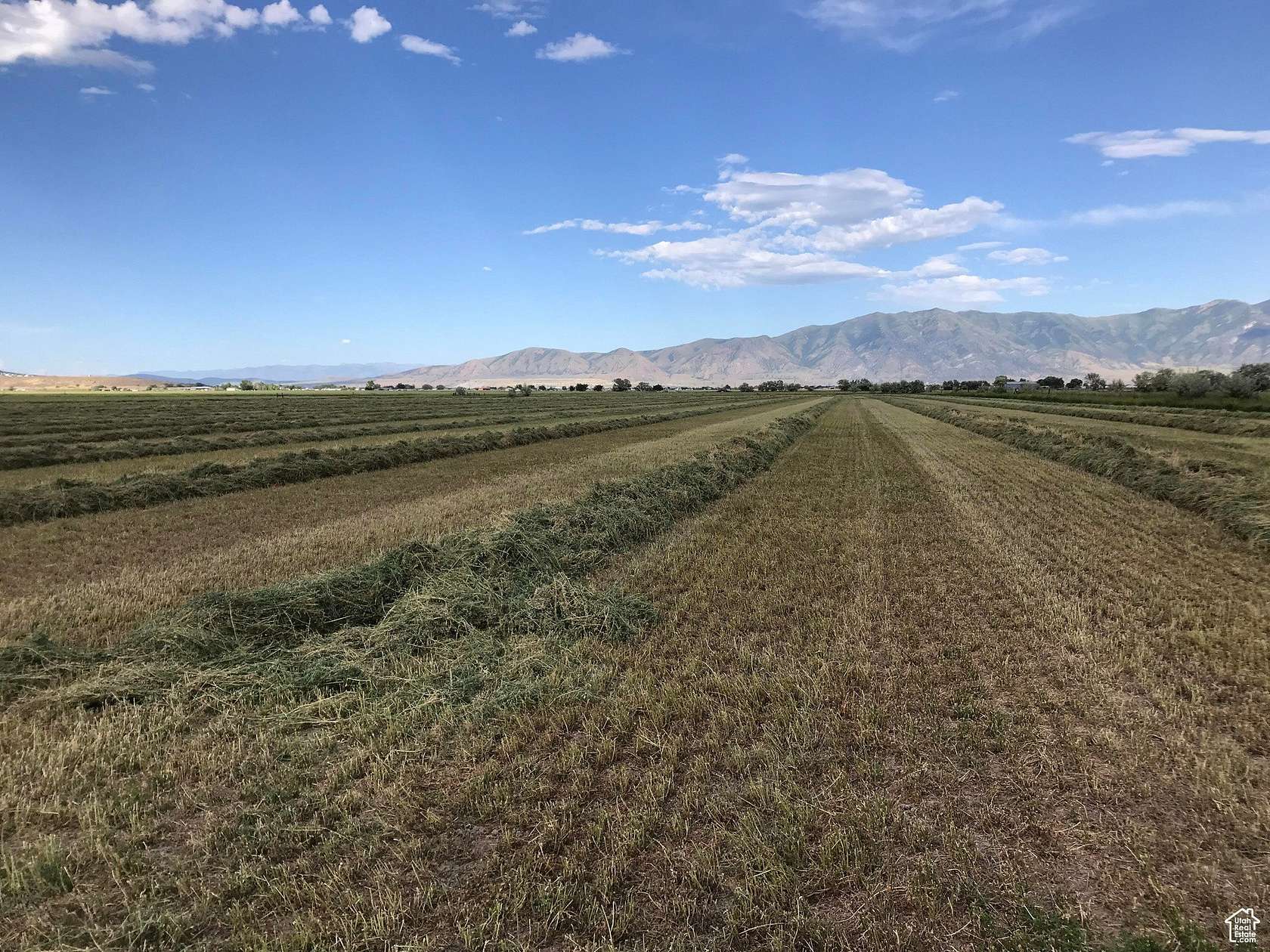 67.77 Acres of Agricultural Land for Sale in Bothwell, Utah