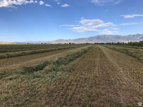 67.77 Acres of Agricultural Land for Sale in Bothwell, Utah