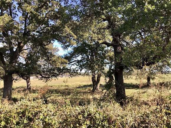 14.132 Acres of Land for Sale in Brock, Texas