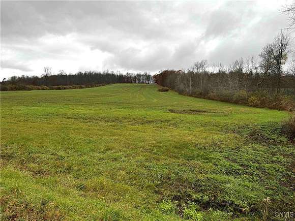 7.4 Acres of Residential Land for Sale in Ellington, New York