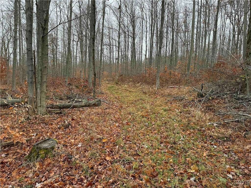 6.7 Acres of Residential Land for Sale in Ellington, New York