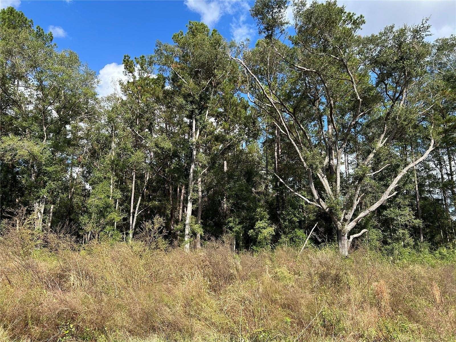 0.35 Acres of Land for Sale in Williston, Florida