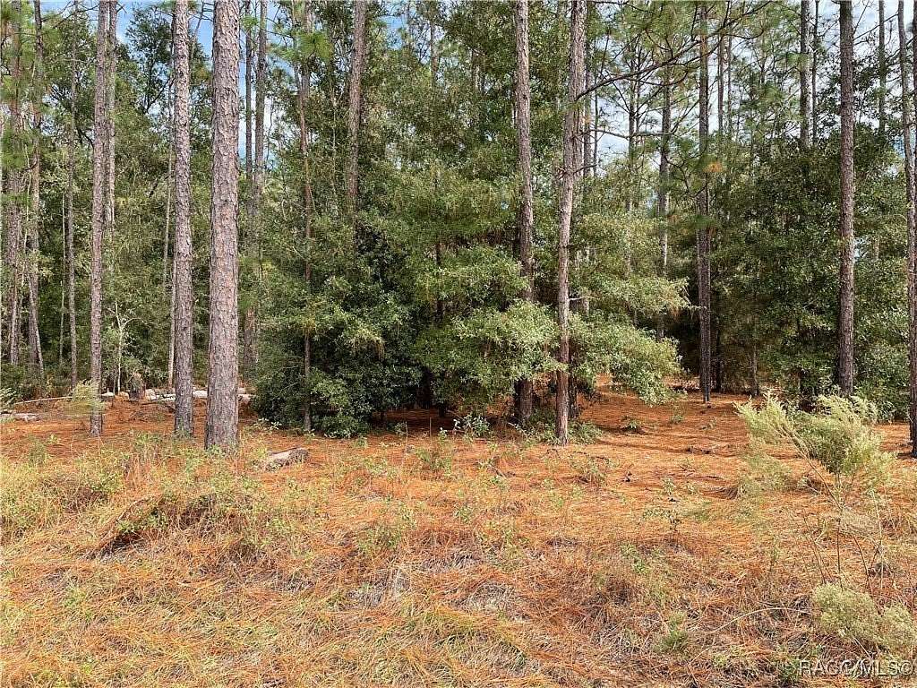 1.03 Acres of Residential Land for Sale in Dunnellon, Florida