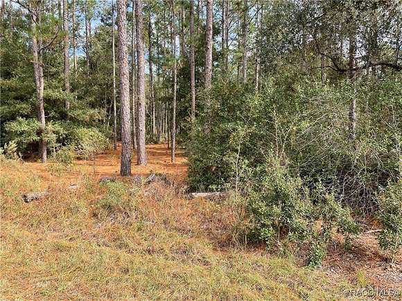 1.03 Acres of Residential Land for Sale in Dunnellon, Florida