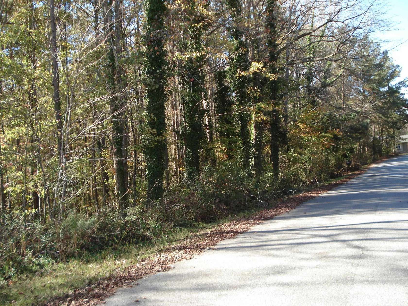 1.55 Acres of Residential Land for Sale in Roebuck, South Carolina