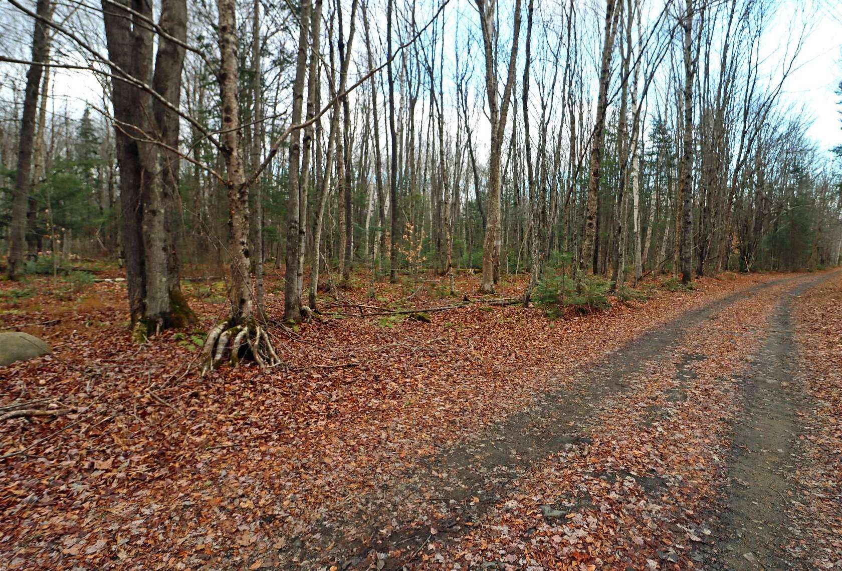 10.5 Acres of Recreational Land for Sale in Milan, New Hampshire