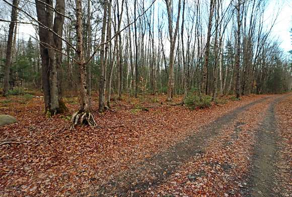 10.5 Acres of Recreational Land for Sale in Milan, New Hampshire