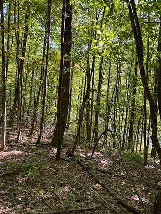 11 Acres of Land for Sale in Sandgate, Vermont