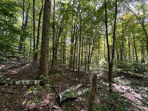 11 Acres of Land for Sale in Sandgate, Vermont