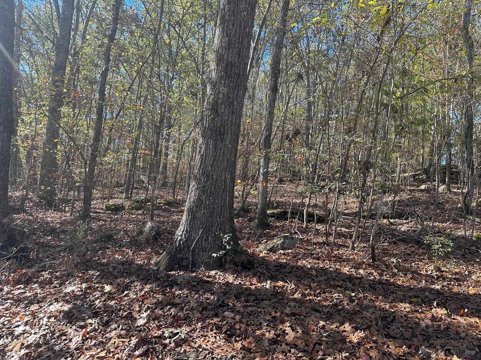 9 Acres of Residential Land for Sale in Russellville, Alabama