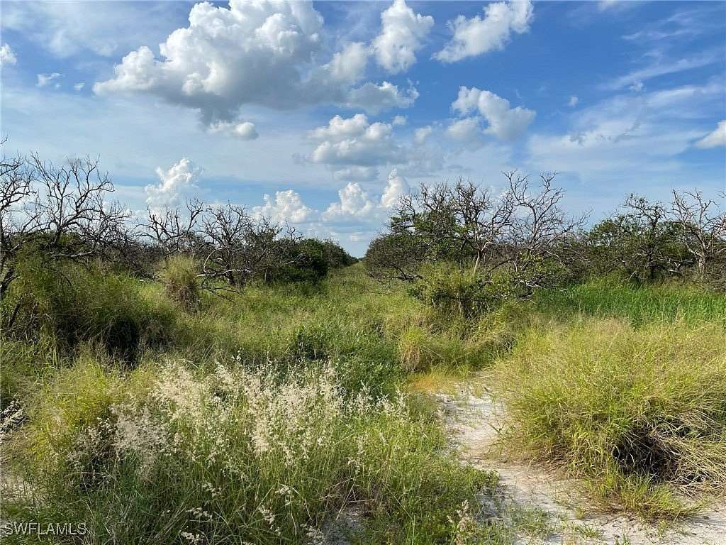 26.67 Acres of Agricultural Land for Sale in LaBelle, Florida