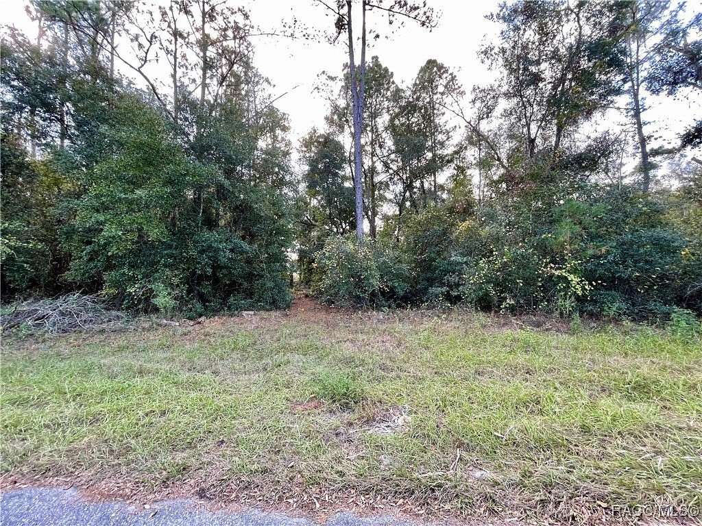 0.49 Acres of Residential Land for Sale in Dunnellon, Florida