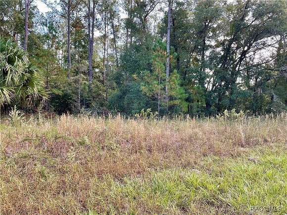 0.49 Acres of Residential Land for Sale in Dunnellon, Florida