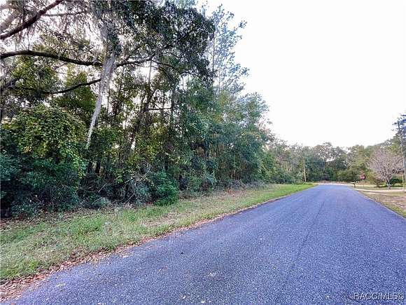 0.49 Acres of Residential Land for Sale in Dunnellon, Florida