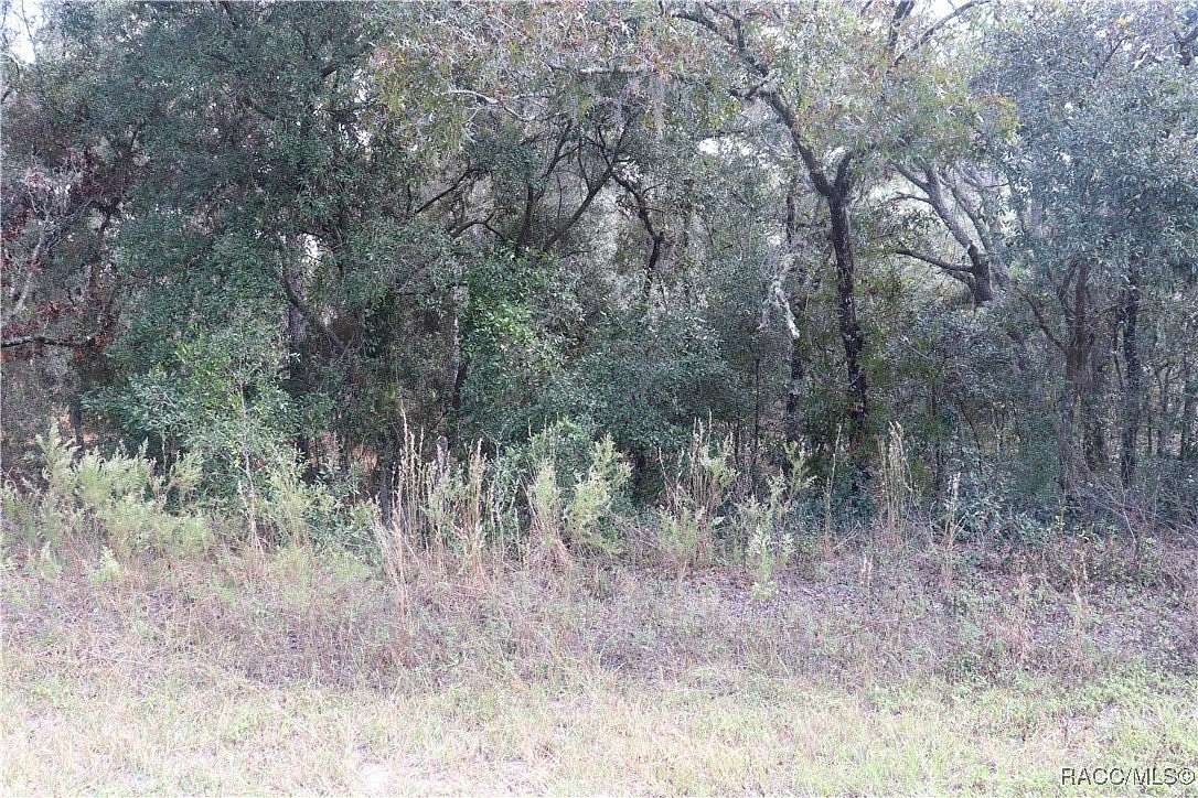 1.01 Acres of Residential Land for Sale in Dunnellon, Florida