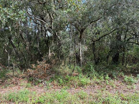 0.72 Acres of Land for Sale in Frostproof, Florida