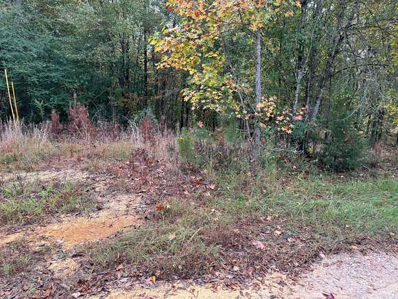 0.5 Acres of Land for Sale in Jasper, Alabama