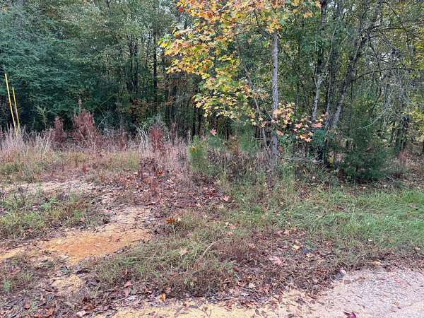 0.5 Acres of Land for Sale in Jasper, Alabama