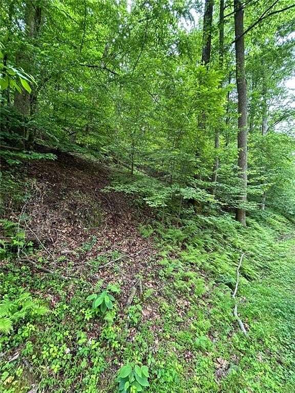 0.94 Acres of Residential Land for Sale in Ellijay, Georgia