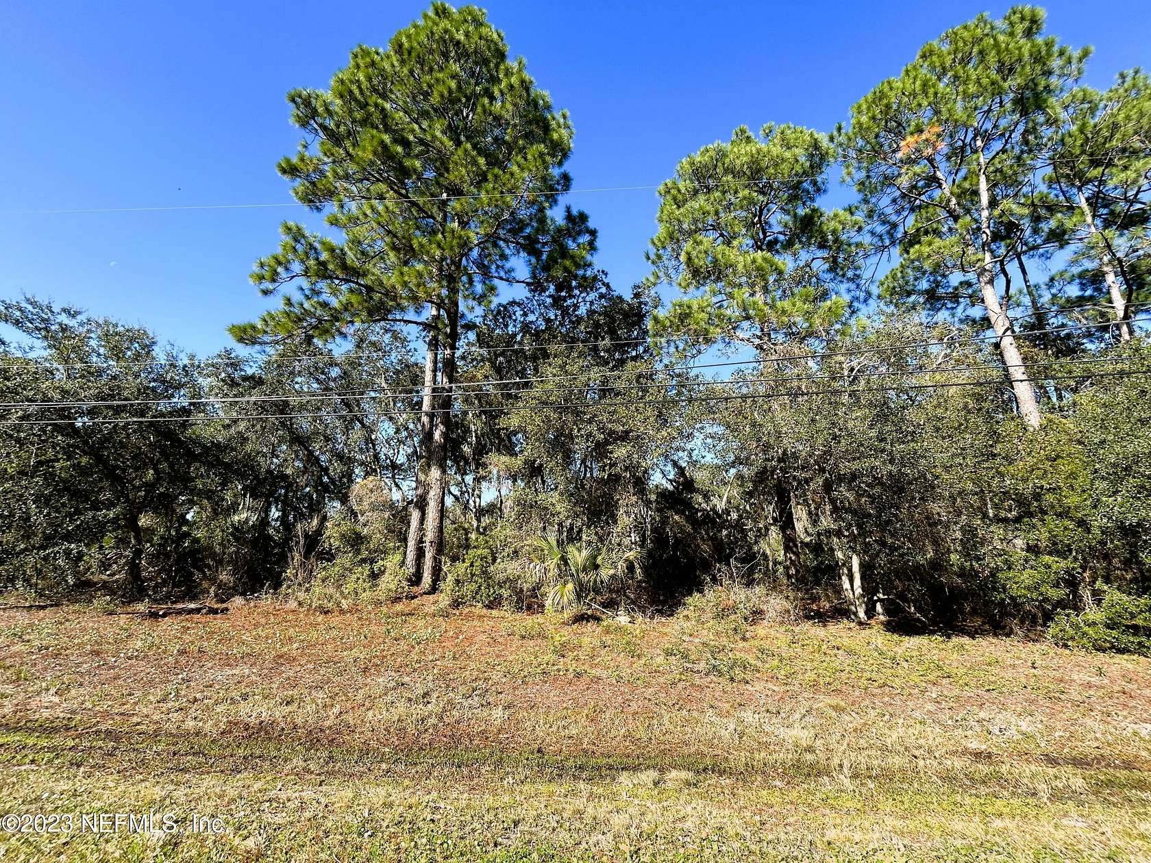 1 Acre of Residential Land for Sale in Jacksonville, Florida