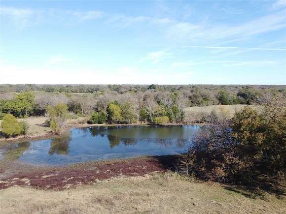 45 Acres of Land for Sale in Celeste, Texas