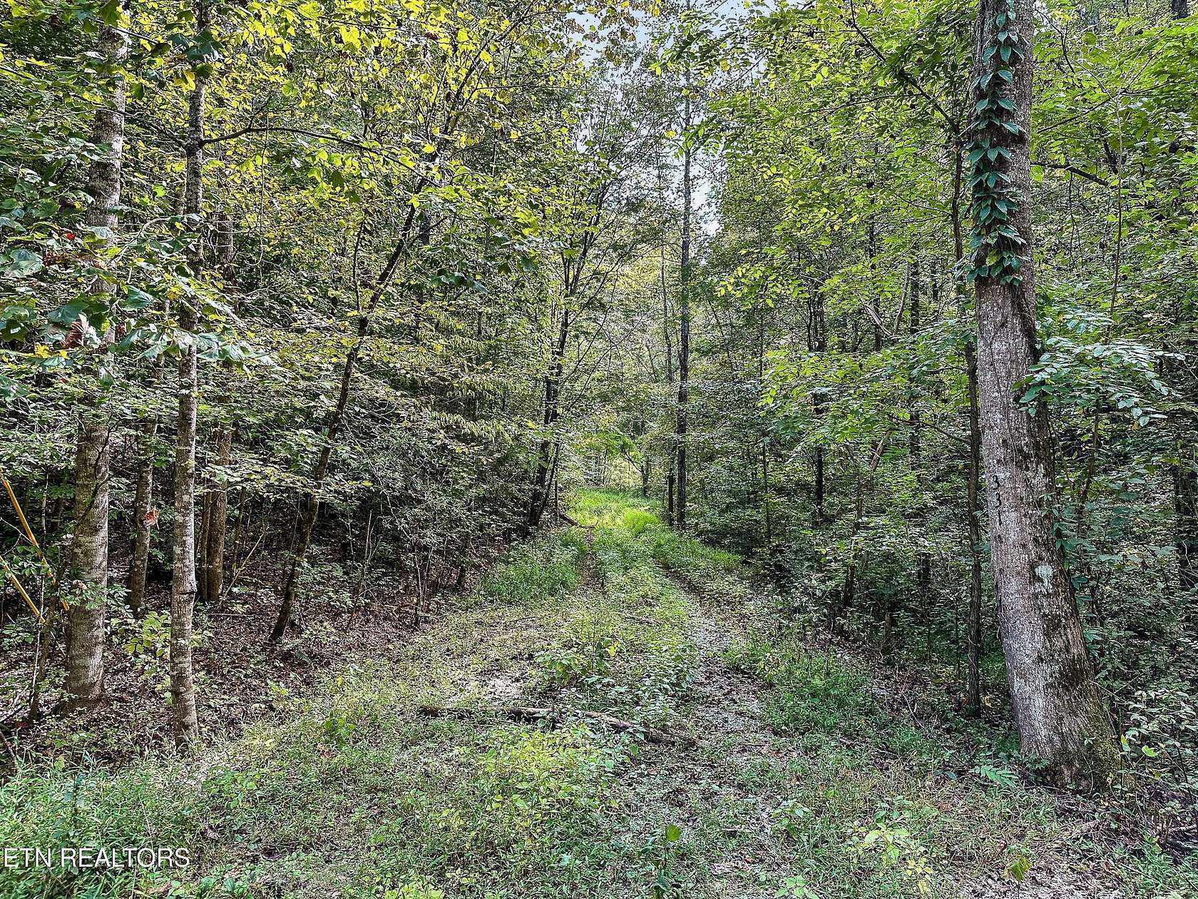 5 Acres of Residential Land for Sale in Walland, Tennessee