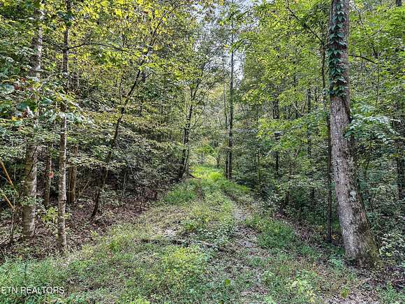 5 Acres of Residential Land for Sale in Walland, Tennessee