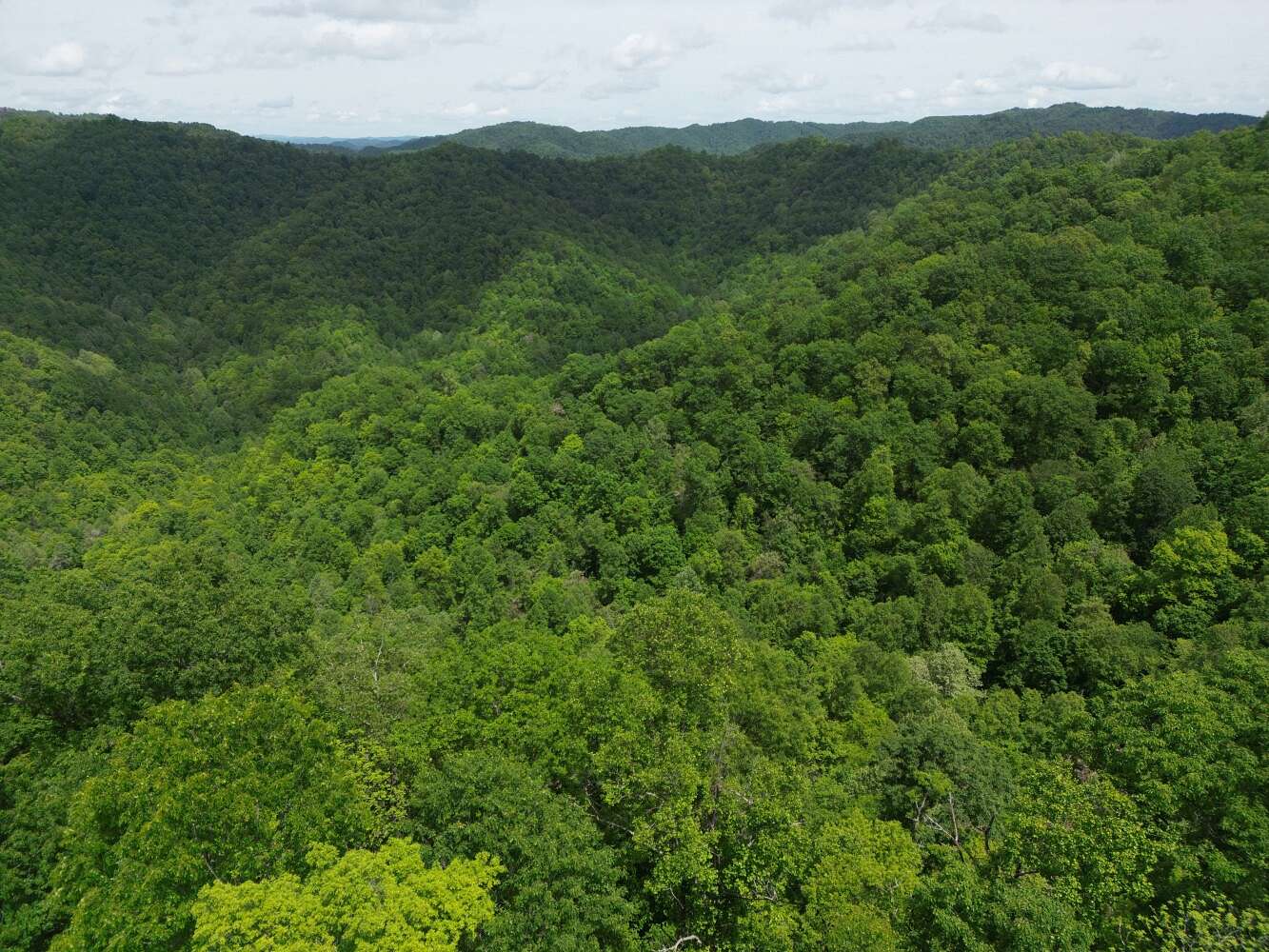 2,515.32 Acres of Recreational Land for Sale in Panther, West Virginia