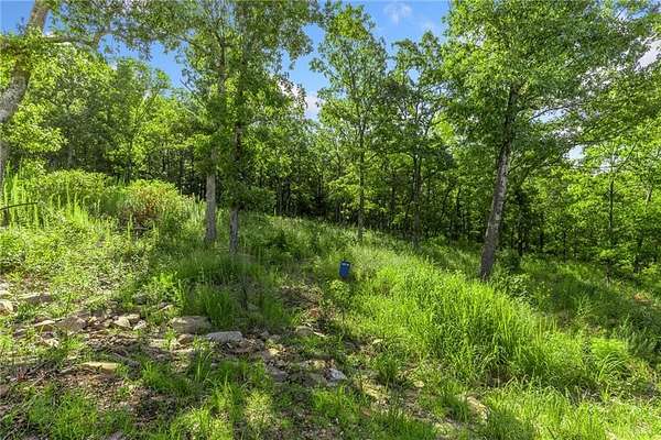 1.25 Acres of Residential Land for Sale in Harrison, Arkansas