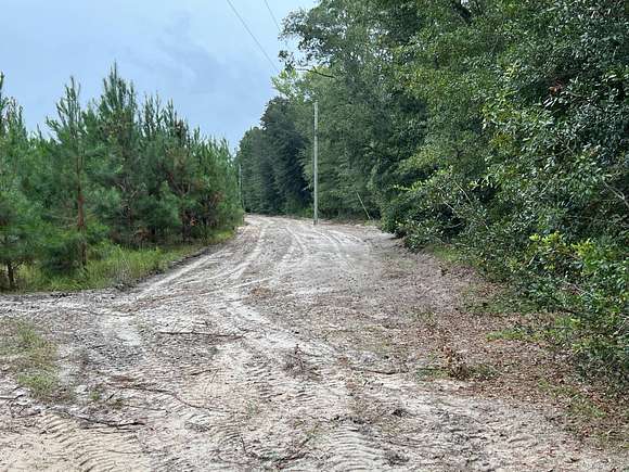 28 Acres of Land for Sale in Pineland, South Carolina