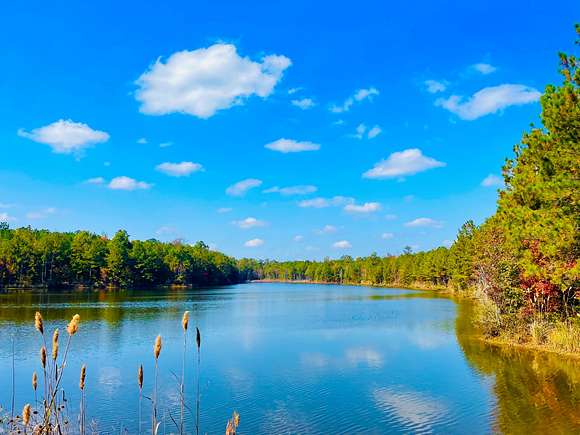 180 Acres of Recreational Land for Sale in Butler, Alabama