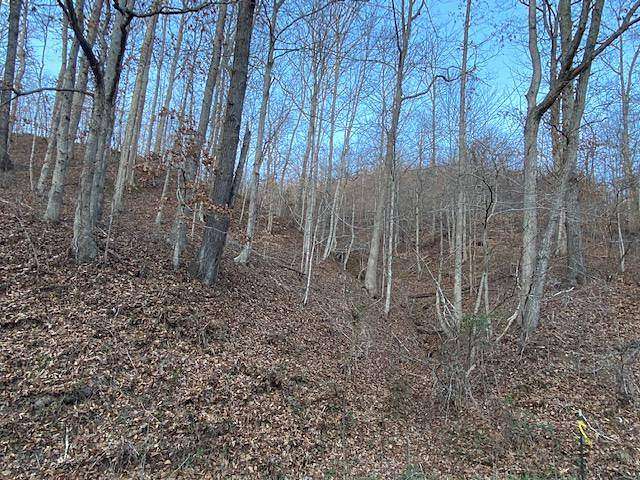 25 Acres of Recreational Land for Sale in Sandy Hook, Kentucky