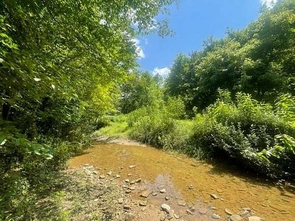 10.74 Acres of Land for Sale in Pikeville, Kentucky