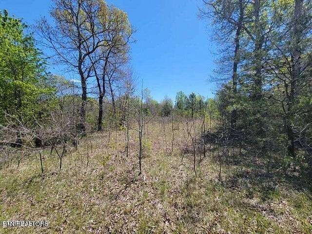 7.38 Acres of Residential Land for Sale in Deer Lodge, Tennessee