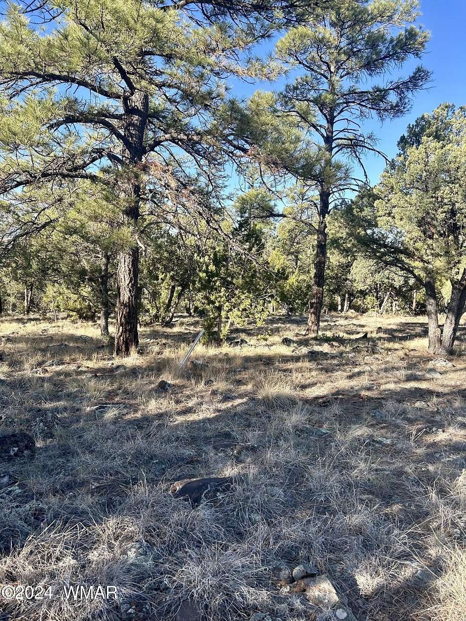 0.24 Acres of Residential Land for Sale in Show Low, Arizona