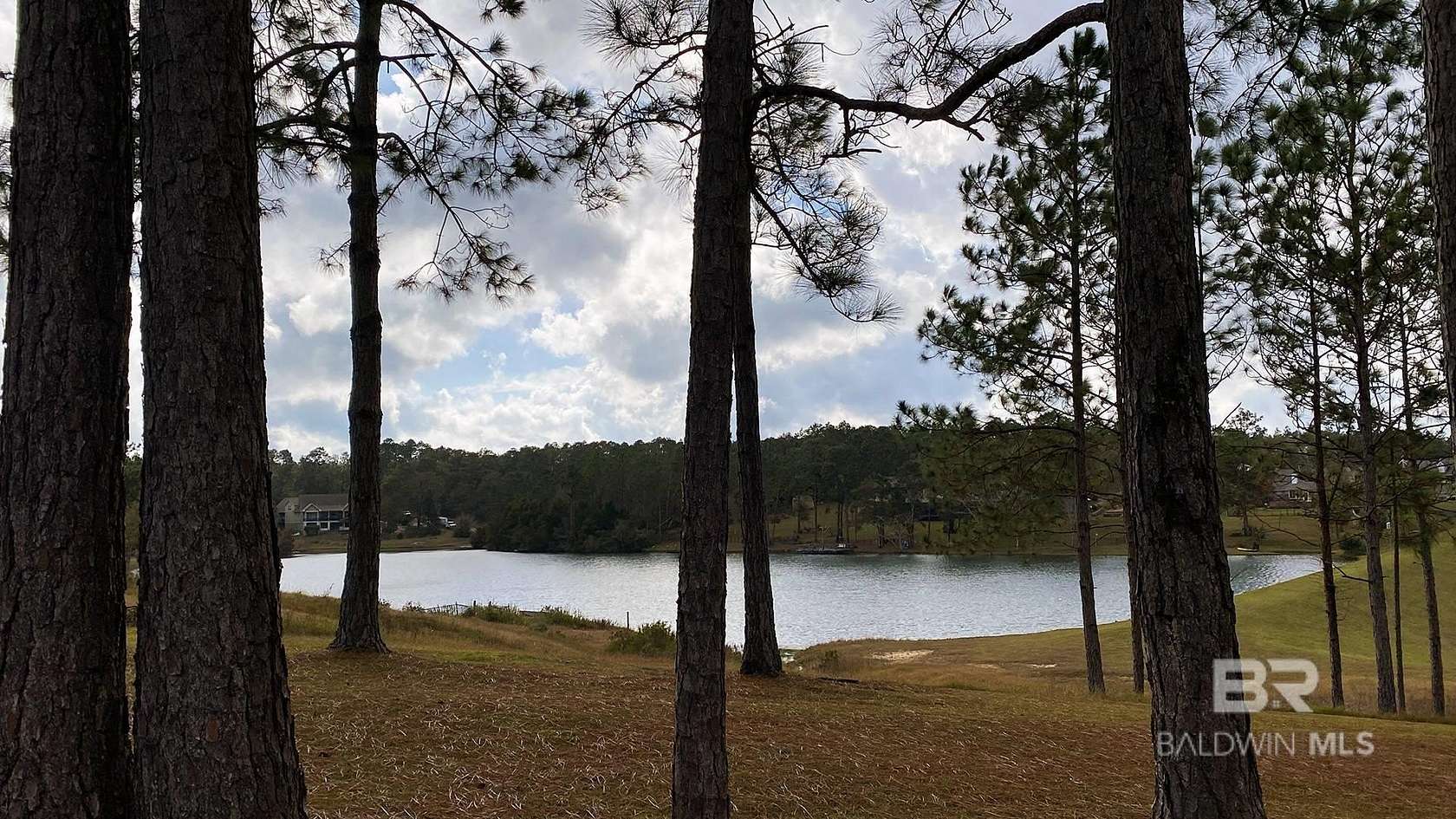 1.172 Acres of Residential Land for Sale in Seminole, Alabama