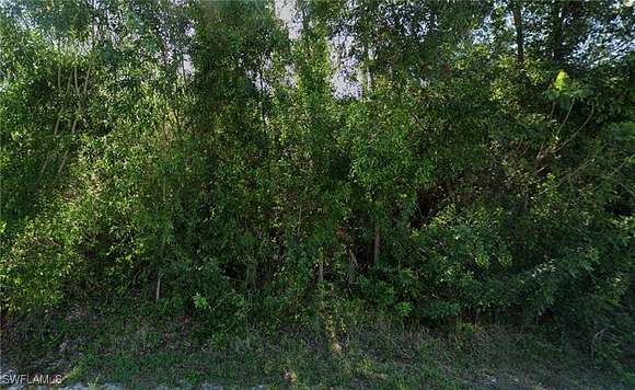 0.501 Acres of Residential Land for Sale in Lehigh Acres, Florida