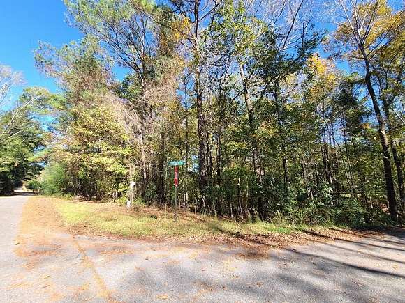 0.11 Acres of Residential Land for Sale in Waverly Hall, Georgia