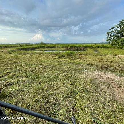 Land for Sale in Oberlin, Louisiana