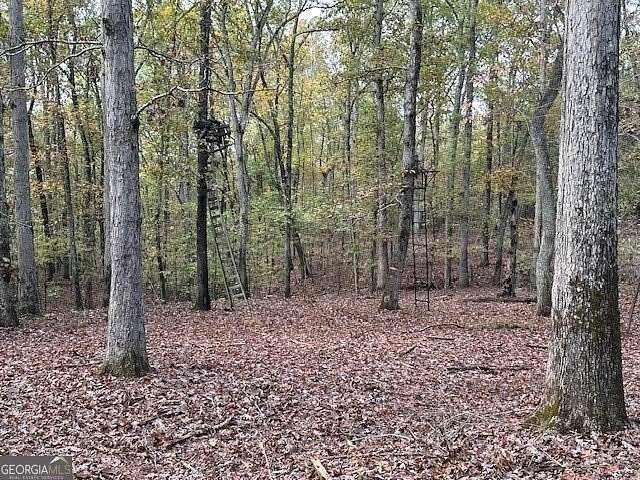 21.19 Acres of Agricultural Land for Sale in Monticello, Georgia