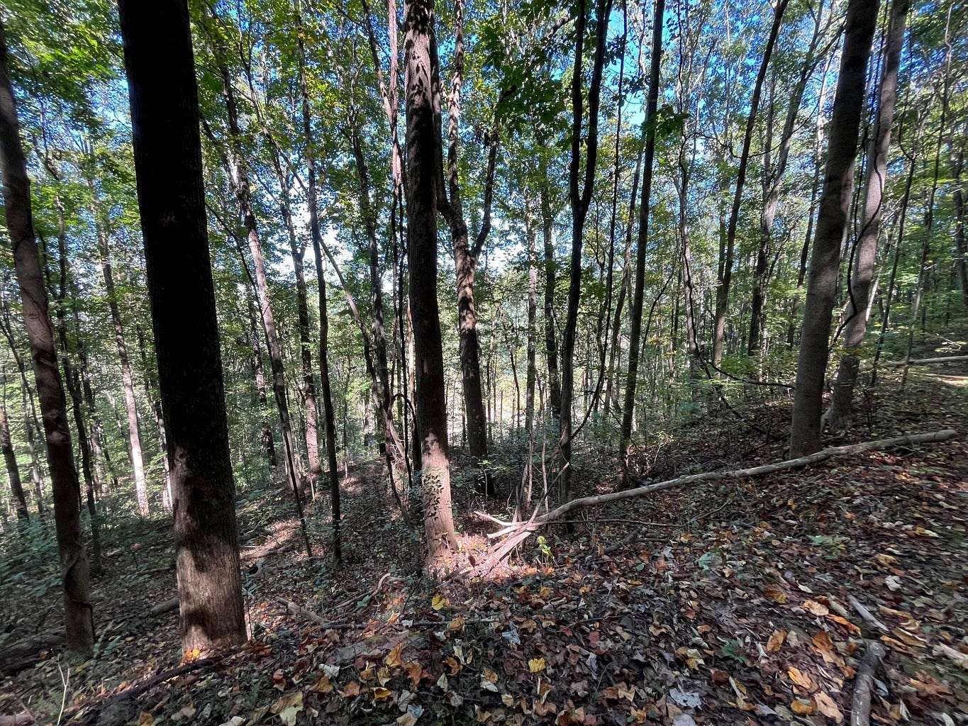 5.4 Acres of Residential Land for Sale in Pikeville, Tennessee