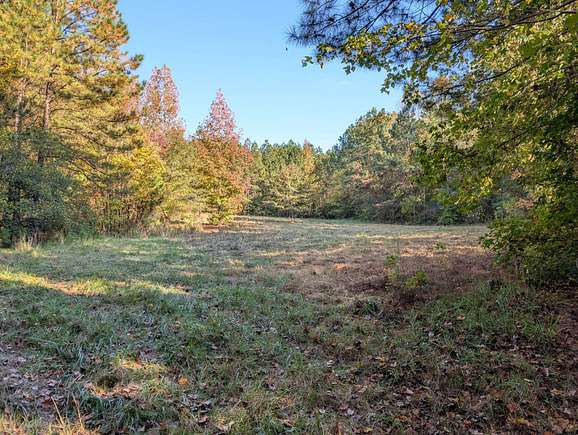 83 Acres of Recreational Land for Auction in Lanett, Alabama