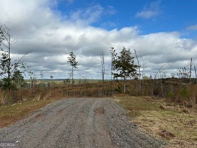 12.029 Acres of Land for Sale in Monticello, Georgia